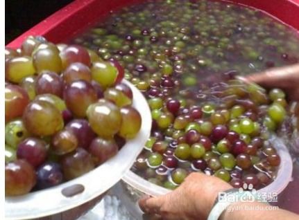 健康與美的雙重享受 水果飲品與化妝品的巧妙結合